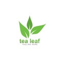 tea leaf logo vector icon illustration Royalty Free Stock Photo