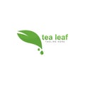 tea leaf logo vector icon illustration Royalty Free Stock Photo