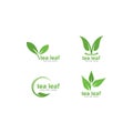 tea leaf logo vector icon illustration Royalty Free Stock Photo