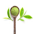 Tea leaf and matcha green tea powder in wood spoon isolated on white background Royalty Free Stock Photo