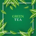 Tea leaves background. Peaceful garden with green leaf, nature plants, beauty bag for drink or food packaging