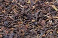 Tea leaves of darjeeling Royalty Free Stock Photo