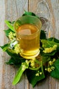 Tea of Linden-Tree Flowers Royalty Free Stock Photo