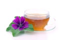 Tea malva Royalty Free Stock Photo