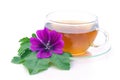 Tea malva Royalty Free Stock Photo