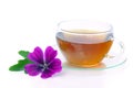 Tea malva Royalty Free Stock Photo