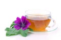 Tea malva Royalty Free Stock Photo