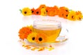 Tea marigold Royalty Free Stock Photo