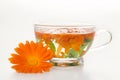 Tea from marigold medical. Royalty Free Stock Photo