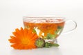 Tea from marigold medical. Royalty Free Stock Photo
