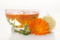 Tea from marigold medical. Royalty Free Stock Photo