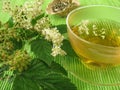 Tea with meadowsweet Royalty Free Stock Photo