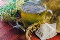 Tea with medicinal herbs Royalty Free Stock Photo
