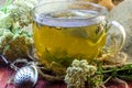 Tea with medicinal herbs Royalty Free Stock Photo