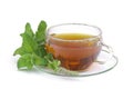 Tea Mentha citrata 01