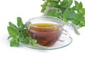 Tea Mentha citrata 03