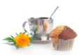 Tea with muffin and a globeflower Royalty Free Stock Photo