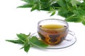Tea nettle 01 Royalty Free Stock Photo