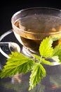 Tea nettle Royalty Free Stock Photo
