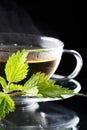 Tea nettle Royalty Free Stock Photo