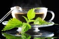 Tea nettle Royalty Free Stock Photo
