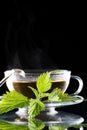 Tea nettle Royalty Free Stock Photo