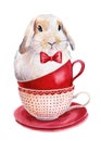 Tea party, bunny in a cup on an isolated white background, funny watercolor poster