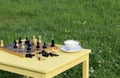Tea party on the nature. The game of chess outdoors