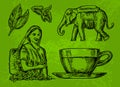 Tea picker woman, tea leaves, cup, elephant. Vector engraved vintage isolated illustration