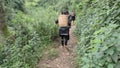 Tea pickers walk to tea plantation in Vietnam