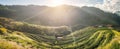 Tea plantation beautiful landscape on hill