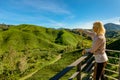 tea plantation of Cameron Highlands in Malaysia Royalty Free Stock Photo