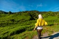 tea plantation of Cameron Highlands in Malaysia Royalty Free Stock Photo