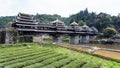 tea plantation and Chengyang Wind and Rain Bridge Royalty Free Stock Photo