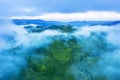 Tea plantation covered by misty morning Royalty Free Stock Photo