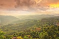 Tea Plantation at Doi Mae Salong in Chiang Rai, Thailand