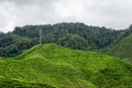 Tea plantation landscape in Cameron highlands, Malaysia. Green Tea garden mountain range. Tea plantation terrace and texture Royalty Free Stock Photo