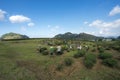 Tea plantation landscape on clear day, with Vietnamese farmers working on the farm