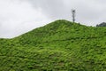 Tea plantation landscape. Telecommunication tower on green tea garden mountain range. Communication antenna on assam tea garden