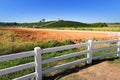 Tea plantation, looking behind the fence