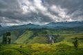 Tea Plantation in the mountain area in Nuwara Eliya, Sri Lanka