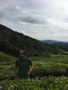 Tea plantation terraces in Malaysia