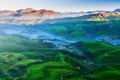 Tea plantation valley at sunrise