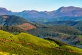 Tea plantation valley at sunrise in Munnar