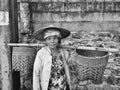 Tea plantation worker in northern Thailand Royalty Free Stock Photo