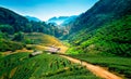 Tea plantations on angkhang mountain, chiang mai, thailand Royalty Free Stock Photo