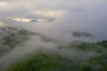 Tea Plantations at Cameron Highlands Malaysia. Sunrise in early morning with fog. Royalty Free Stock Photo