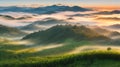 Tea Plantations at Cameron Highlands Malaysia. Sunrise in early morning with fog. Royalty Free Stock Photo