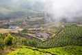 Houses in the middle of a tea plantation Royalty Free Stock Photo