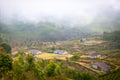 Houses in the middle of a tea plantation Royalty Free Stock Photo